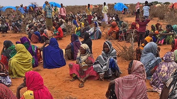 FAO Helping Communities Affected by the Drought Impacts in Ethiopia