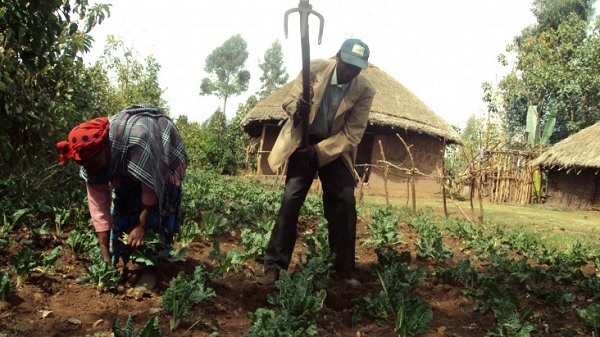 land reform in Ethiopia