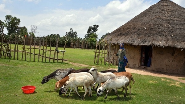 rural areas of Ethiopia