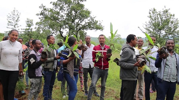 Ethiopia plants more than 200 million trees