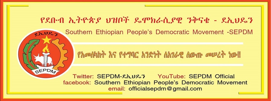 የደቡብ ኢትዮጵያ ሕዝቦች ዴሞክራሲያዊ ንቅናቄ - ደኢህዴን