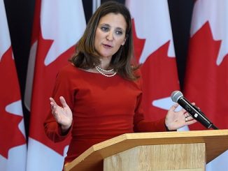 Canada supports the 2020 elections in Ethiopia