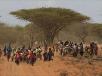 EU grants additional 50 million Euros to tackle drought in the Horn of Africa
