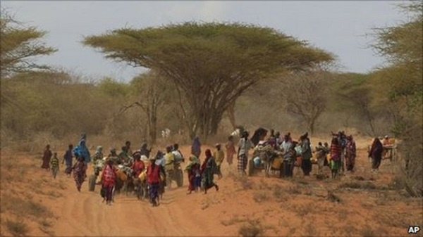 EU grants additional 50 million Euros to tackle drought in the Horn of Africa