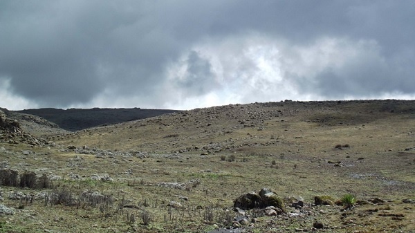Earliest high mountain settlement identified in Ethiopia