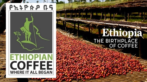 Ethiopian Coffee and Tea Authority