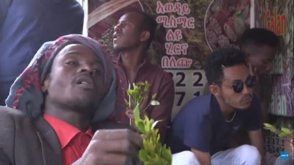 chewing khat in Ethiopia