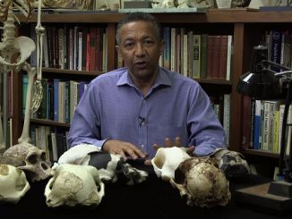 hominin cranium discovered in Ethiopia