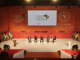 Fifty-five African countries sign declaration