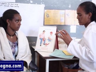 The Health Extension Program (HEP) in Ethiopia