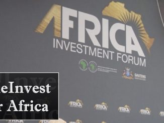 Africa Investment Forum SheInvest