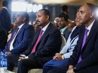 Ethiopia Homegrown Economic Reform Plan