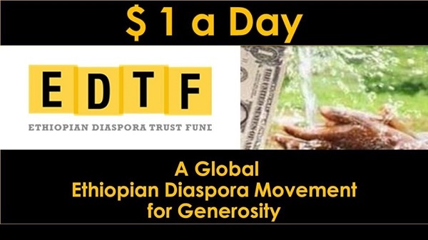 Ethiopian Diaspora Trust Fund (EDTF) project proposals