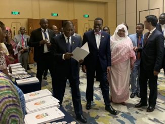 African Leaders for Nutrition - Combating African malnutrition