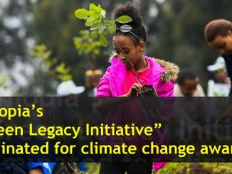 Ethiopian Green Legacy Initiative
