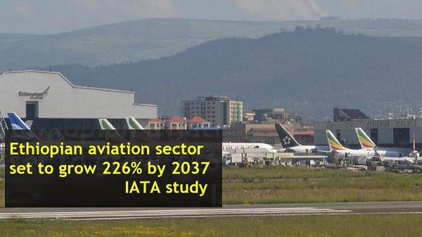 Ethiopian air transport market to grow