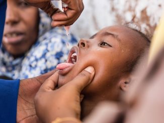 Africa is free of wild poliovirus