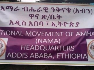 National Movement of Amhara