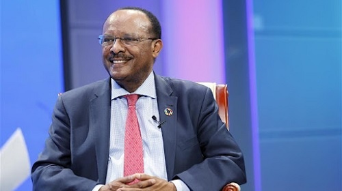 Dr Tegegnework Gettu, Chairperson of the Liability and Asset Management Corporation (LAMC)