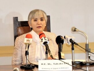 Japan Ambassador to Ethiopia Ms Takako Ito